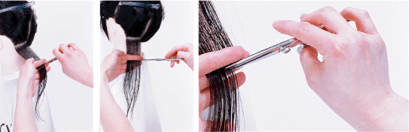 Image of Pile of hair cut with blunt scissors
