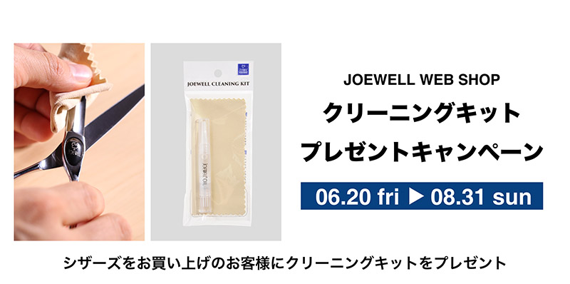 WEBショップ限定モデル